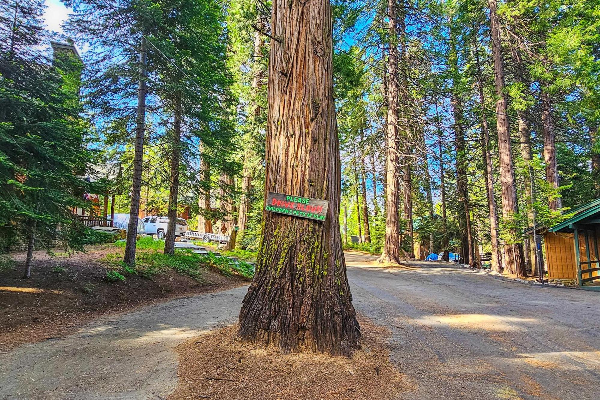 Villa Water'S Edge Retreat Shaver Lake Esterno foto