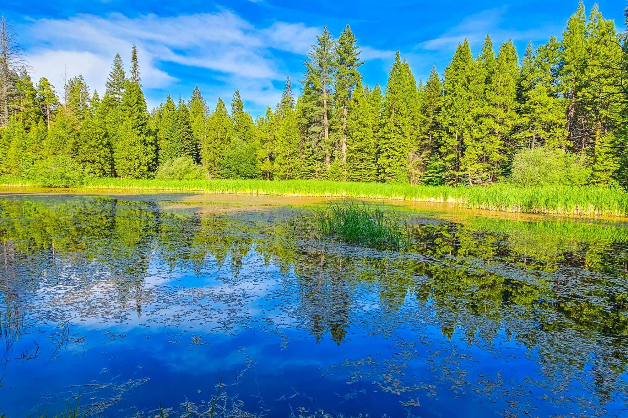 Villa Water'S Edge Retreat Shaver Lake Esterno foto