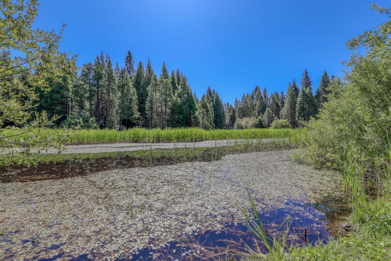 Villa Water'S Edge Retreat Shaver Lake Esterno foto